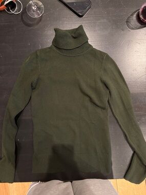 French Connection Olive Green Turtleneck Sweater